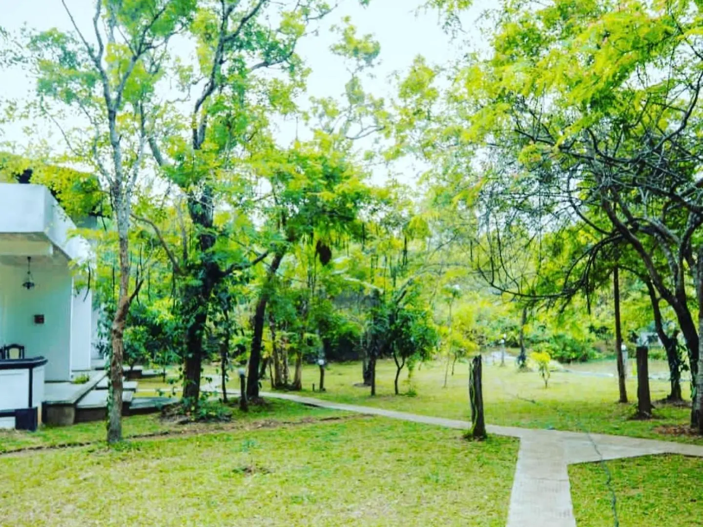 New Sigiri Kele Hotel Sigiriya 4*,