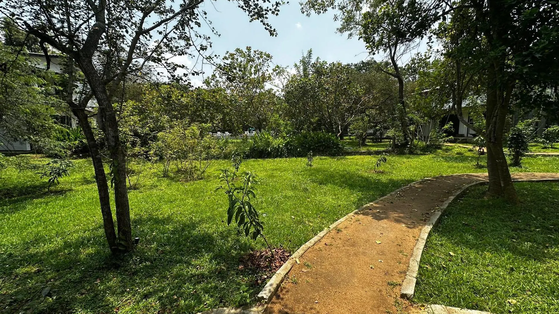 New Sigiri Kele Hotel Sigiriya Sri Lanka