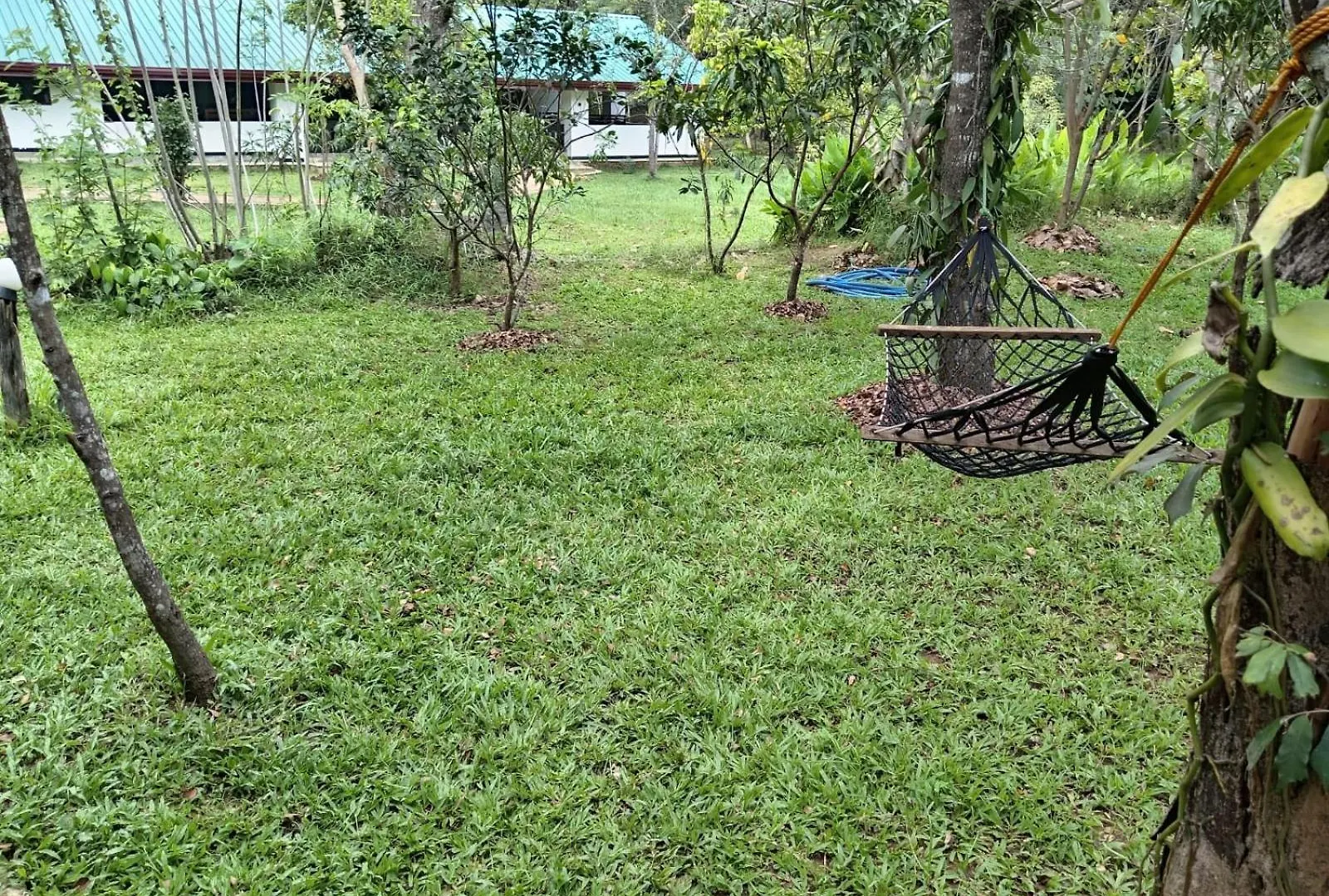 New Sigiri Kele Hotel Sigiriya